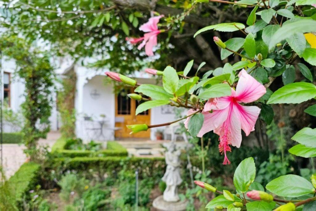 Grey Rabbit Cottage Montagu Εξωτερικό φωτογραφία