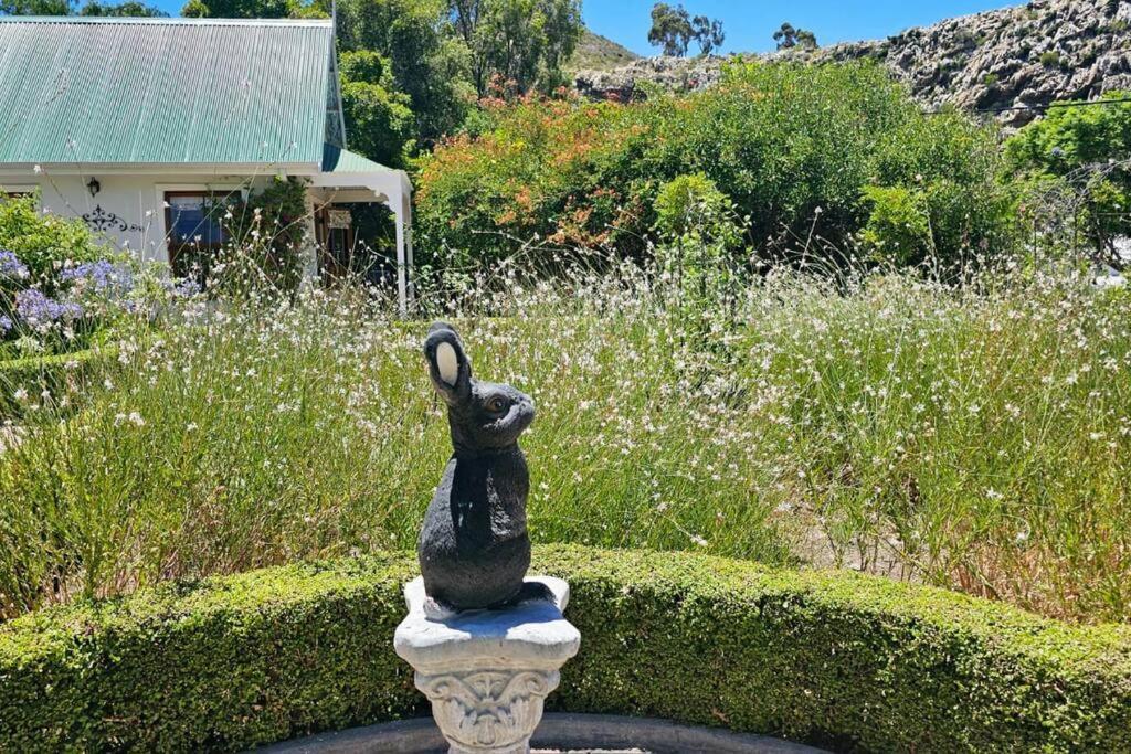 Grey Rabbit Cottage Montagu Εξωτερικό φωτογραφία