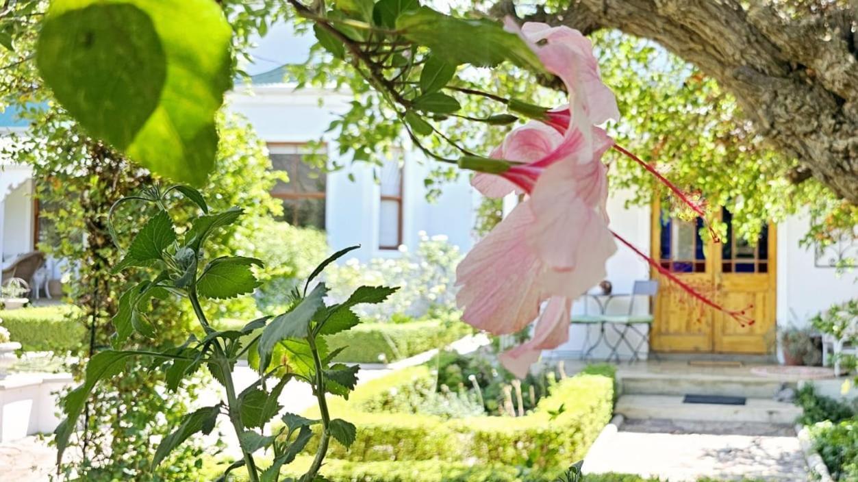 Grey Rabbit Cottage Montagu Εξωτερικό φωτογραφία